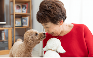 dog friendly senior living community