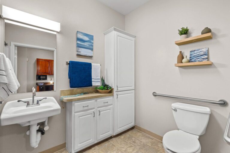 hampton at meadows place apartment bathroom