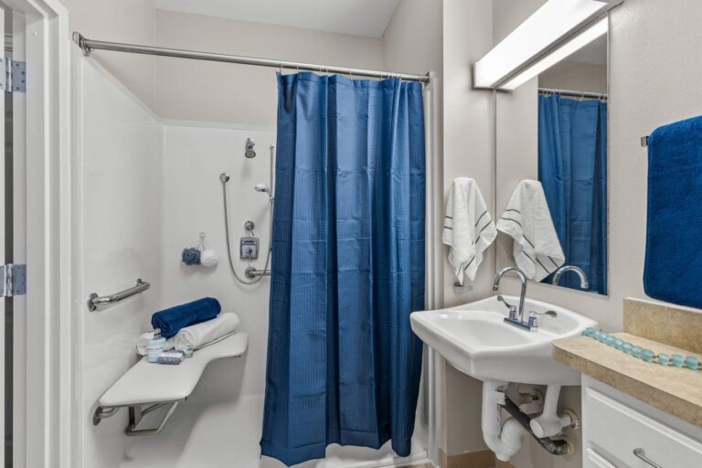 hampton at meadows place one bedroom and bath