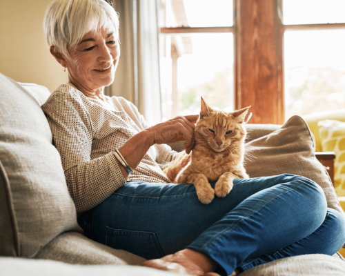 older adult with cat on couch older adult with cat on couch