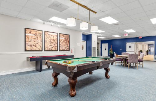 hampton at meadows place pool table